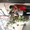 2017雲彩之旅